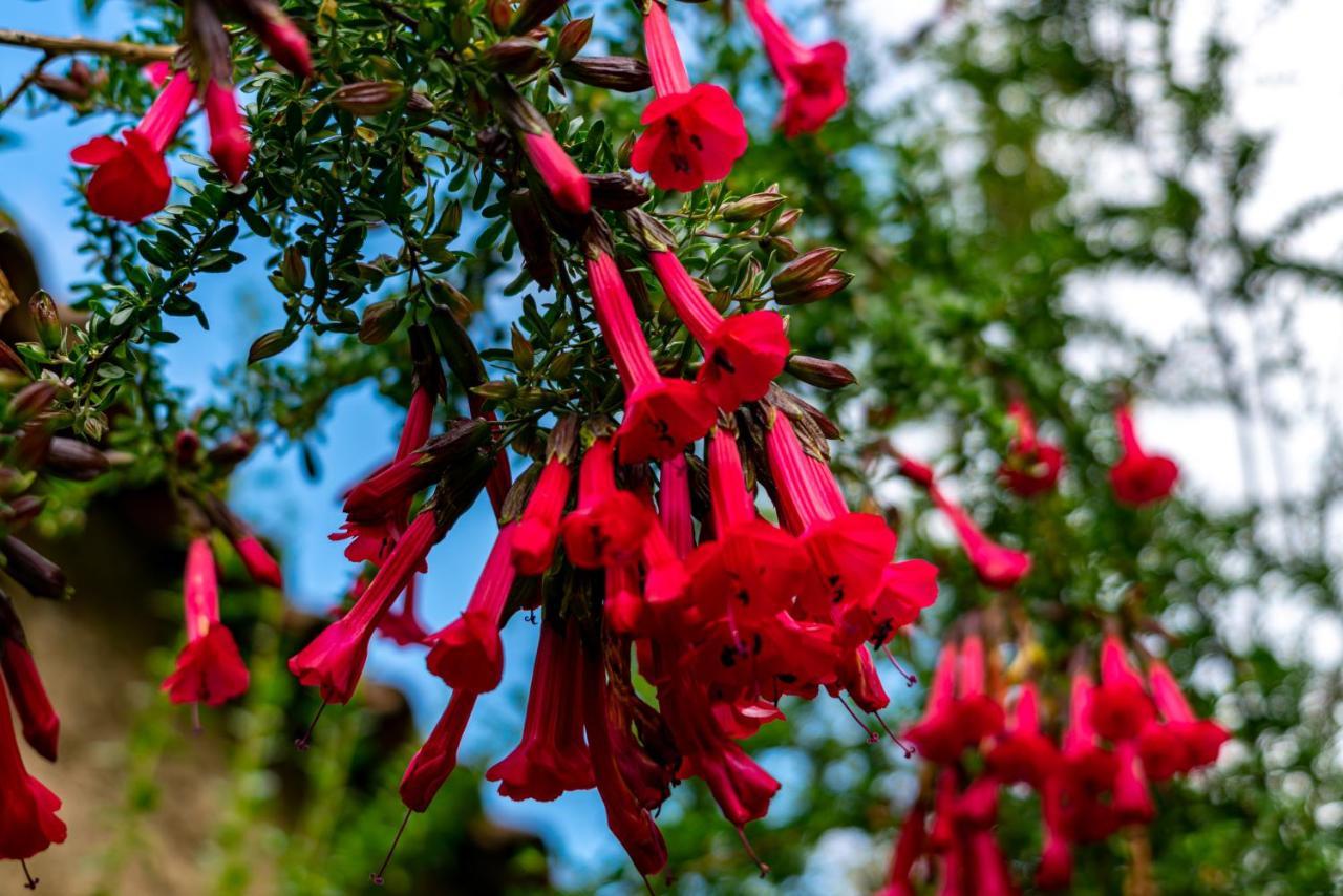 Tierra Inka Sacred Valley 3*